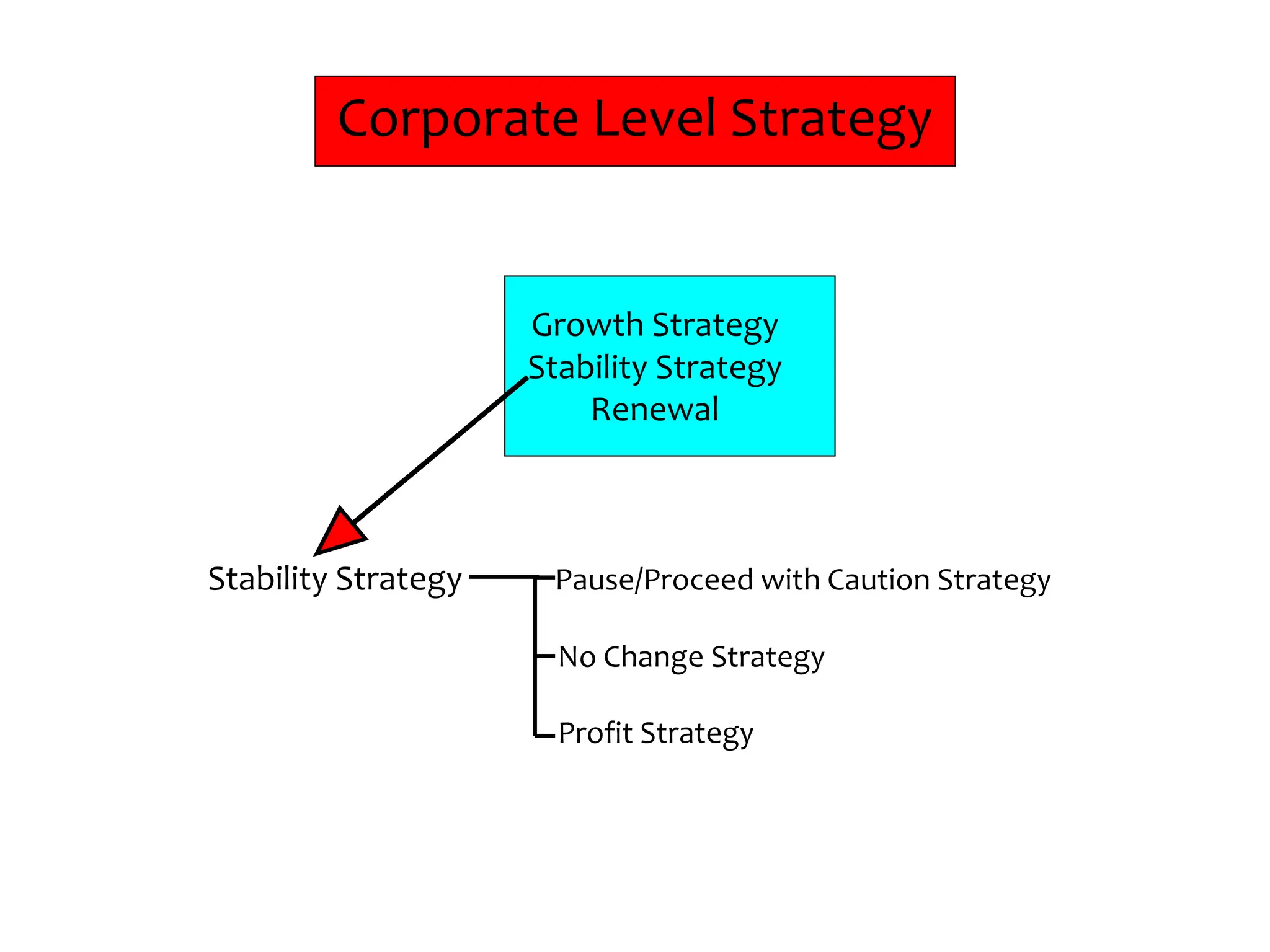 Corporate Level Strategy
Growth Strategy
Stability Strategy
Renewal
Stability Strategy Pause/Proceed with Caution Strategy
No Change Strategy
Profit Strategy
 