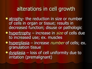 alterations in cell growth atrophy - the reduction in size or number of cells in organ or tissue; results in decreased function; disuse or pathologic hypertrophy  – increase in  size   of cells due to increased use; ex. muscles hyperplasia  – increase  number  of cells; ex. granulation tissue dysplasia  – loss of cell uniformity due to irritation (premalignant) 