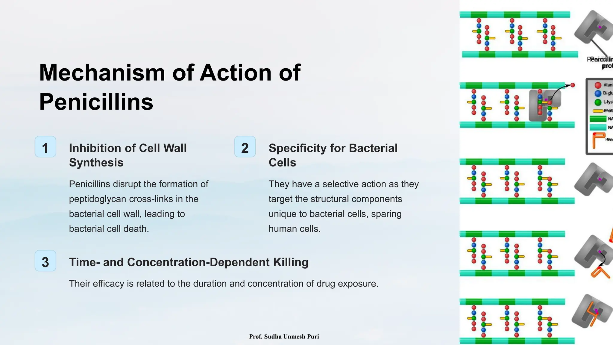 Introduction to Penicillin Chemotherapy in short.pptx