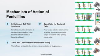 Mechanism of Action of
Penicillins
1 Inhibition of Cell Wall
Synthesis
Penicillins disrupt the formation of
peptidoglycan cross-links in the
bacterial cell wall, leading to
bacterial cell death.
2 Specificity for Bacterial
Cells
They have a selective action as they
target the structural components
unique to bacterial cells, sparing
human cells.
3 Time- and Concentration-Dependent Killing
Their efficacy is related to the duration and concentration of drug exposure.
Prof. Sudha Unmesh Puri
 