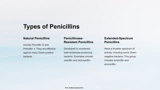 Types of Penicillins
Natural Penicillins
Include Penicillin G and
Penicillin V. They are effective
against many Gram-positive
bacteria.
Penicillinase-
Resistant Penicillins
Developed to counteract
beta-lactamase-producing
bacteria. Examples include
oxacillin and dicloxacillin.
Extended-Spectrum
Penicillins
Have a broader spectrum of
activity, including some Gram-
negative bacteria. This group
includes ampicillin and
amoxicillin.
Prof. Sudha Unmesh Puri
 