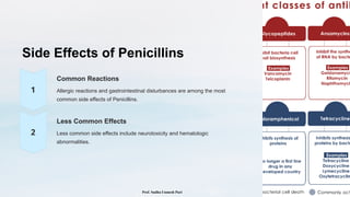 Side Effects of Penicillins
Common Reactions
Allergic reactions and gastrointestinal disturbances are among the most
common side effects of Penicillins.
Less Common Effects
Less common side effects include neurotoxicity and hematologic
abnormalities.
Prof. Sudha Unmesh Puri
 