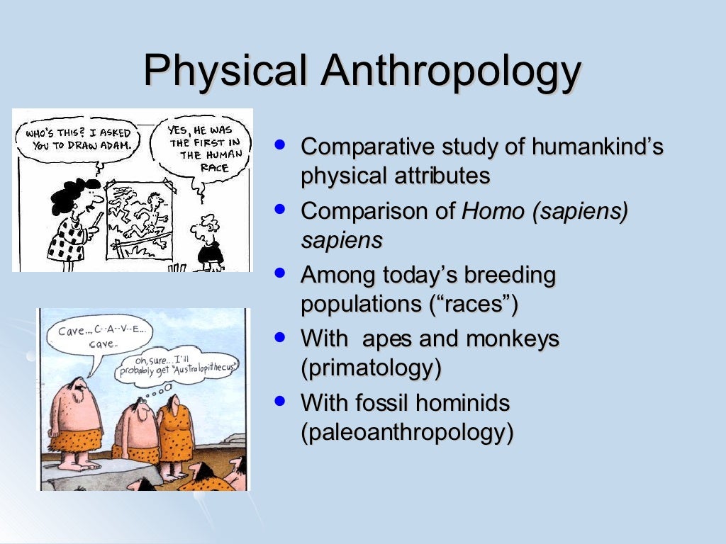 phd in physical anthropology