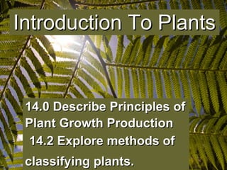 14.0 Describe Principles of Plant Growth Production     14.2 Explore methods of classifying plants.   Introduction To Plants 