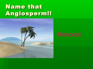 Name that
Angiosperm!!


               Monocot!
 