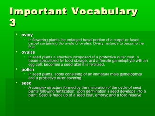 Important Vocabulary
3
  ovary
     In flowering plants the enlarged basal portion of a carpel or fused
      carpel containing the ovule or ovules. Ovary matures to become the
      fruit.
  ovules
     In seed plants a structure composed of a protective outer coat, a
      tissue specialized for food storage, and a female gametophyte with an
      egg cell. Becomes a seed after it is fertilized.
  pollen
     In seed plants, spore consisting of an immature male gametophyte
      and a protective outer covering.
  seed
     A complex structure formed by the maturation of the ovule of seed
      plants following fertilization; upon germination a seed develops into a
      plant. Seed is made up of a seed coat, embryo and a food reserve.
 