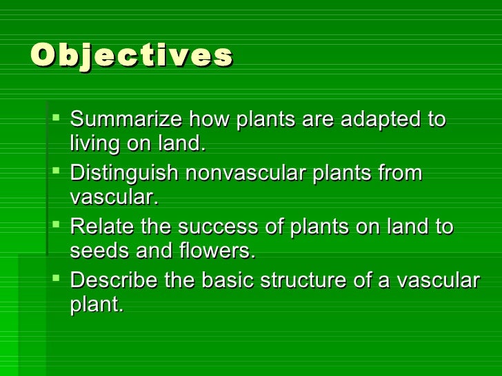 Introduction To Plants