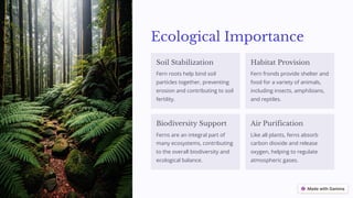 Ecological Importance
Soil Stabilization
Fern roots help bind soil
particles together, preventing
erosion and contributing to soil
fertility.
Habitat Provision
Fern fronds provide shelter and
food for a variety of animals,
including insects, amphibians,
and reptiles.
Biodiversity Support
Ferns are an integral part of
many ecosystems, contributing
to the overall biodiversity and
ecological balance.
Air Purification
Like all plants, ferns absorb
carbon dioxide and release
oxygen, helping to regulate
atmospheric gases.
 
