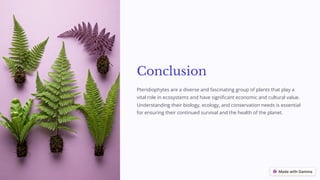 Conclusion
Pteridiophytes are a diverse and fascinating group of plants that play a
vital role in ecosystems and have significant economic and cultural value.
Understanding their biology, ecology, and conservation needs is essential
for ensuring their continued survival and the health of the planet.
 