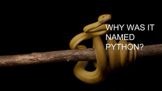WHY WAS IT
NAMED
PYTHON?
 