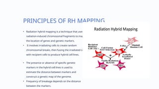 Introduction-to-Radiation-Hybrid-Mapping_(2)[1] - Read-Only.pptx