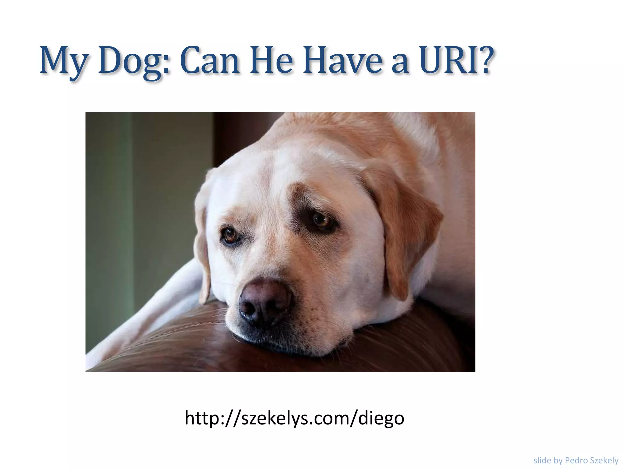 My Dog: Can He Have a URI?
http://szekelys.com/diego
slide by Pedro Szekely
 