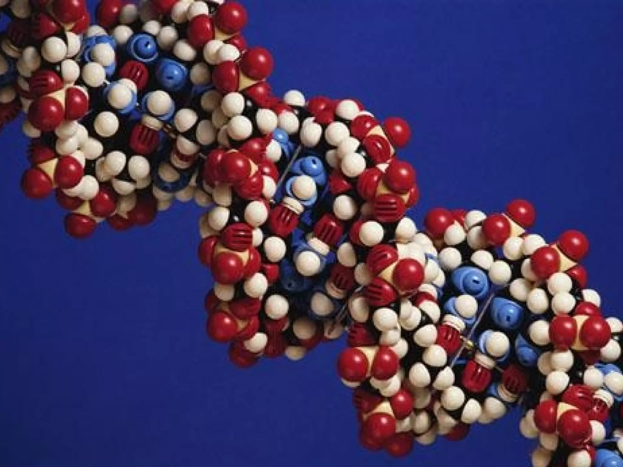 Psychological research ...holds out the promise of discovering the  architecture of our psyche  and understanding our behaviour in the world around us. 