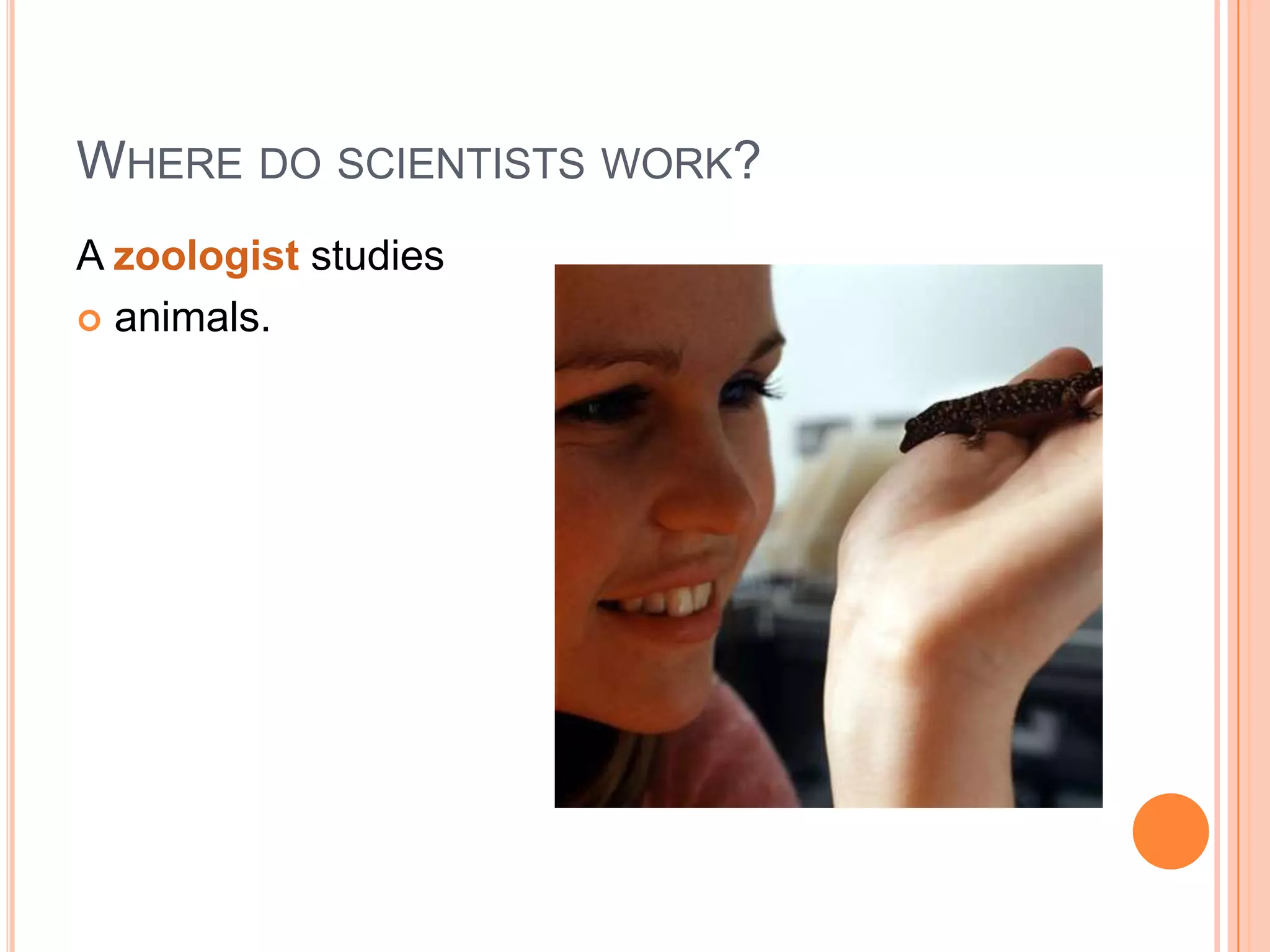 WHERE DO SCIENTISTS WORK?
A zoologist studies
 animals.

 