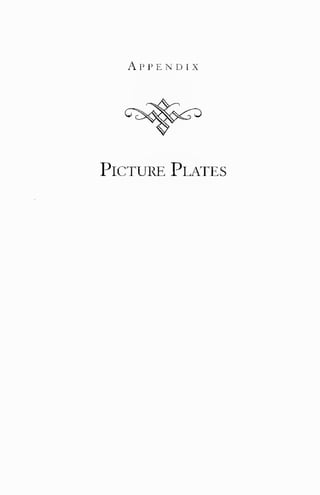 Appendix 
Picture Plates 
 