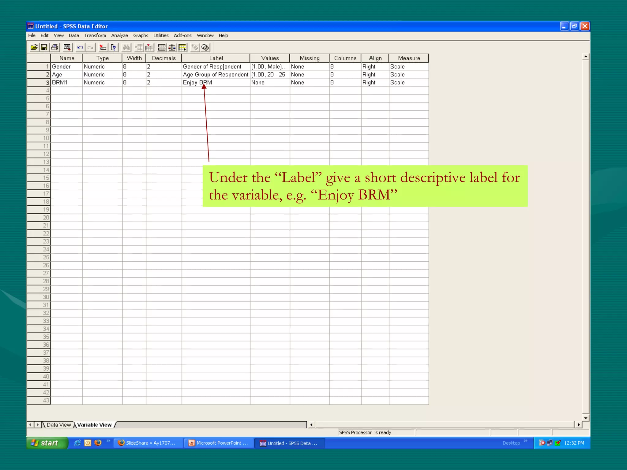 Under the “Label” give a short descriptive label for the variable, e.g. “Enjoy BRM” 