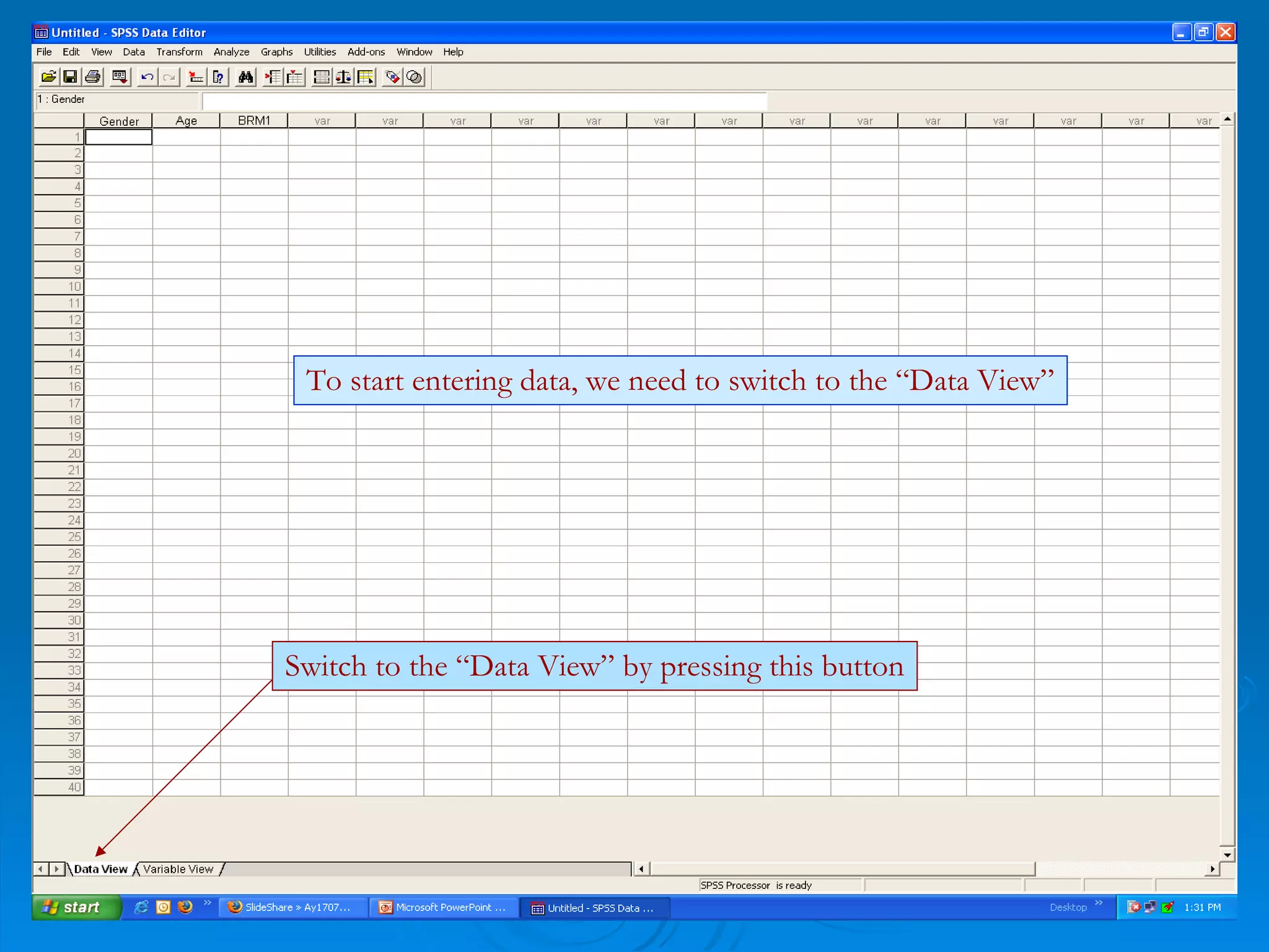 Switch to the “Data View” by pressing this button To start entering data, we need to switch to the “Data View” 
