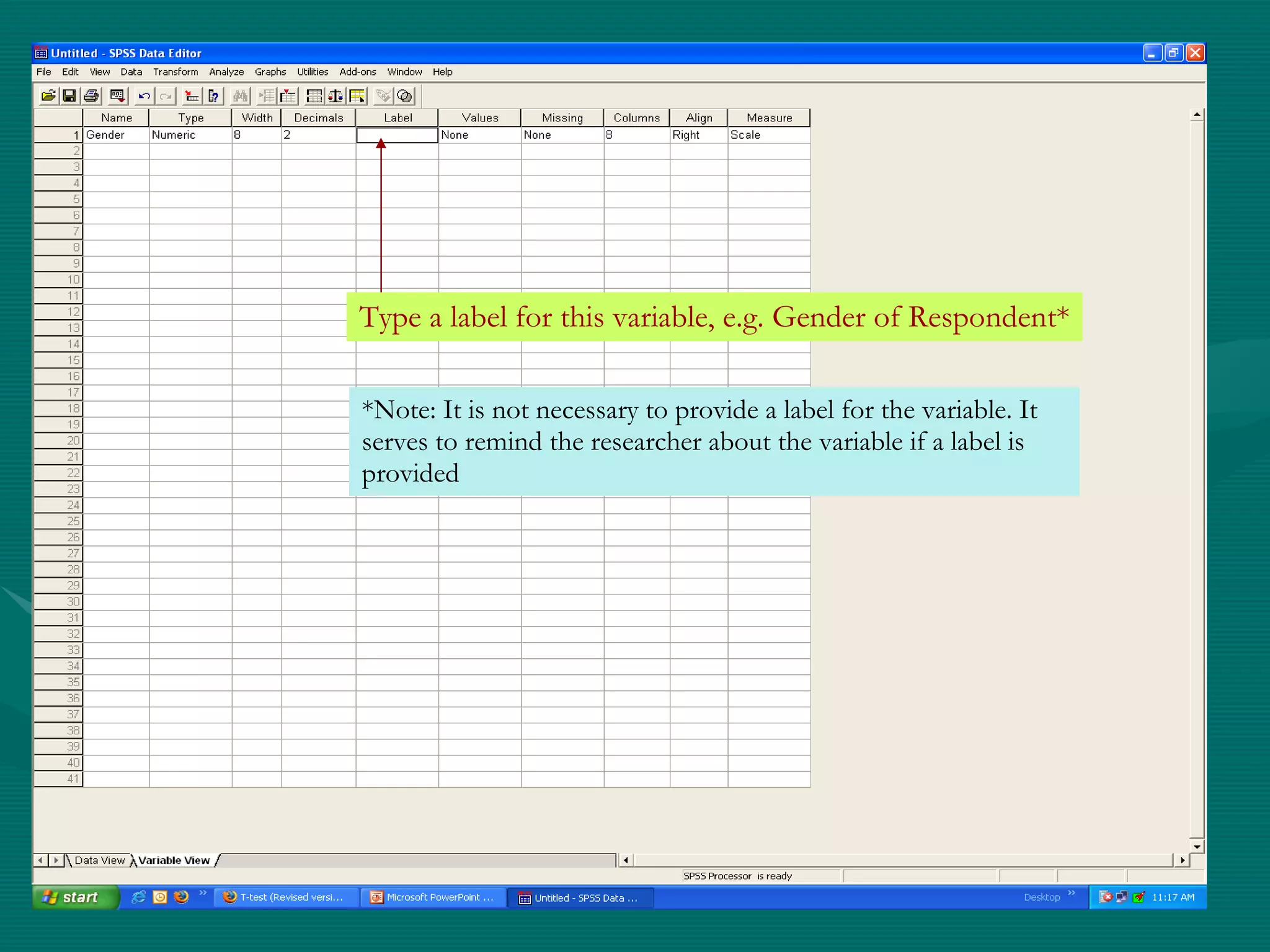Type a label for this variable, e.g. Gender of Respondent* *Note: It is not necessary to provide a label for the variable. It serves to remind the researcher about the variable if a label is provided 