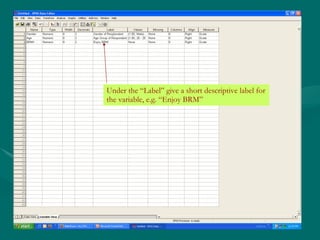 Under the “Label” give a short descriptive label for the variable, e.g. “Enjoy BRM” 