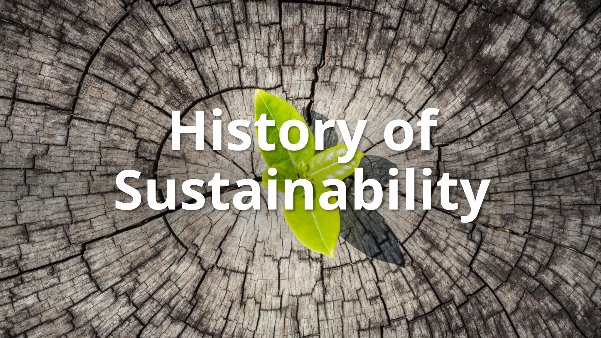 History of
Sustainability
 