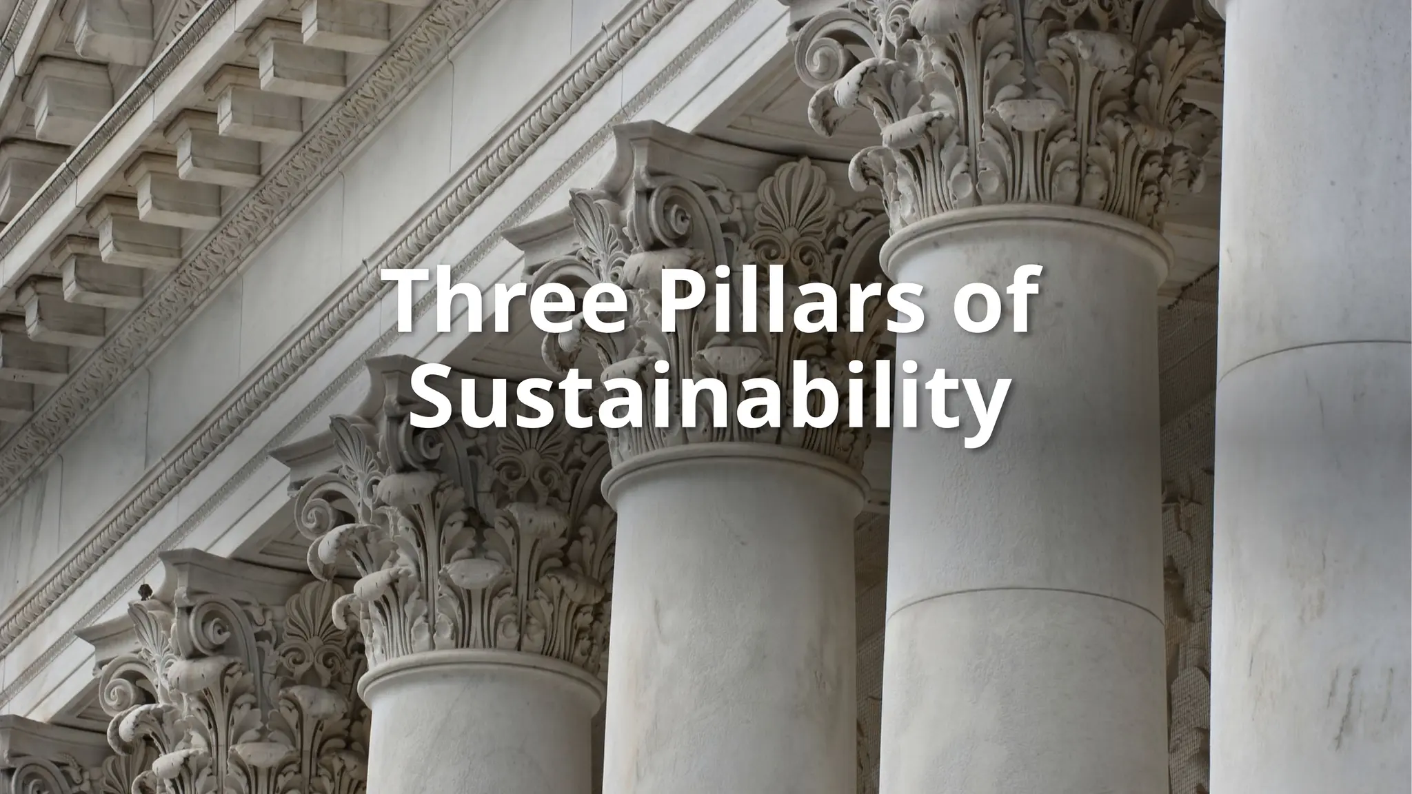 Three Pillars of
Sustainability
 