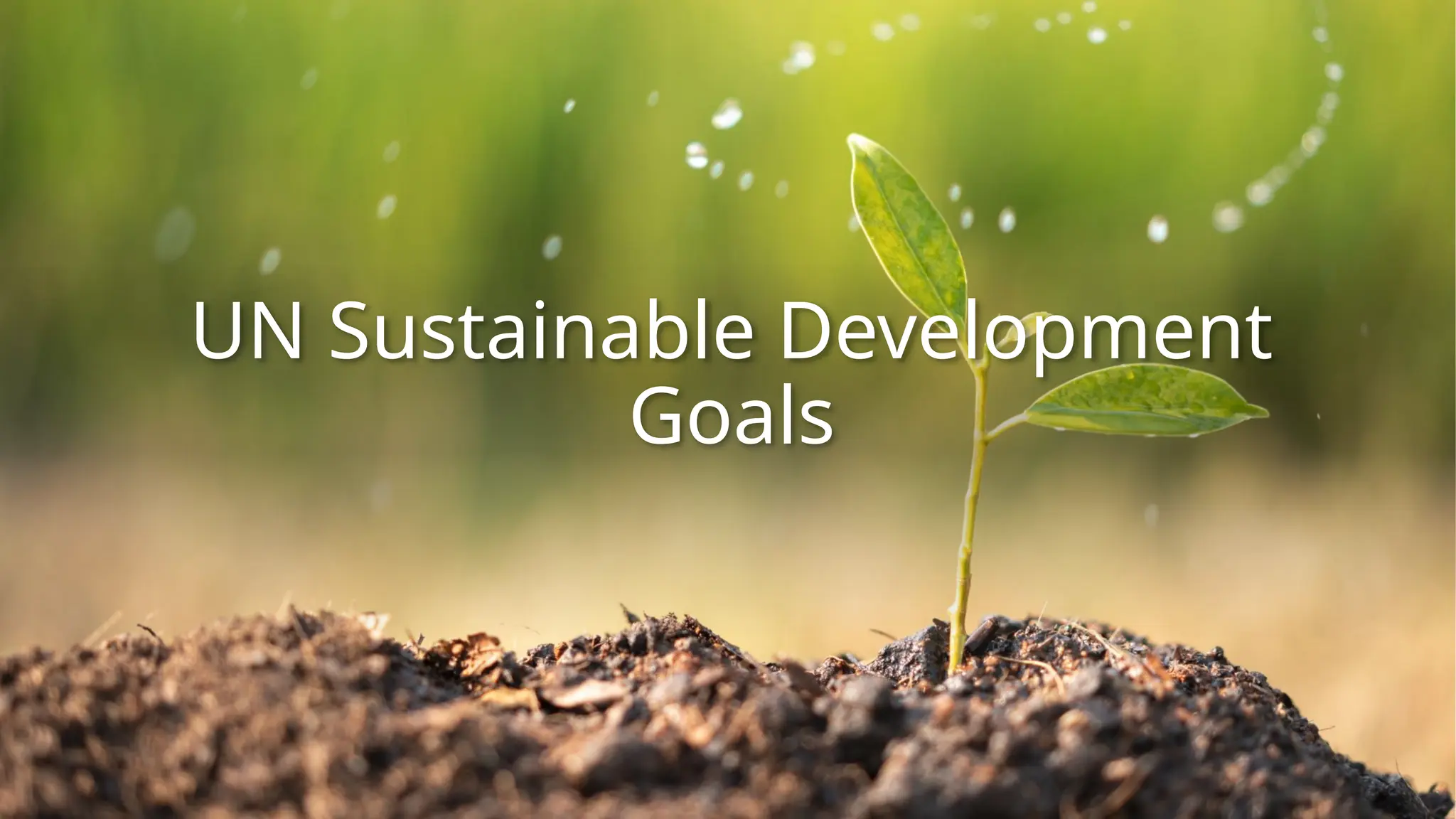 UN Sustainable Development
Goals
 