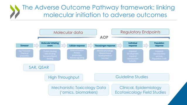 Introduction to the adverse outcome pathways concept and framework ...