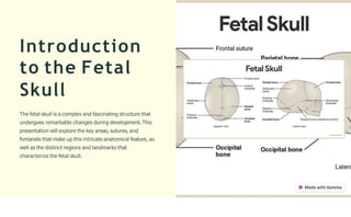 Introduction
to the Fetal
Skull
The fetal skull is a complex and fascinating structure that
undergoes remarkable changes during development.This
presentation will explore the key areas, sutures, and
fontanels that make up this intricate anatomical feature, as
well as the distinct regions and landmarks that
characterize the fetal skull.
 