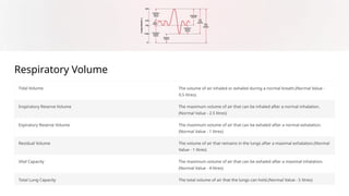 Introduction to the Respiratory System on Slideshare by Raj Kumar ...