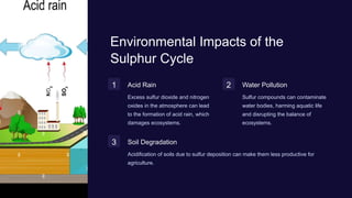 Environmental Impacts of the
Sulphur Cycle
1 Acid Rain
Excess sulfur dioxide and nitrogen
oxides in the atmosphere can lead
to the formation of acid rain, which
damages ecosystems.
2 Water Pollution
Sulfur compounds can contaminate
water bodies, harming aquatic life
and disrupting the balance of
ecosystems.
3 Soil Degradation
Acidification of soils due to sulfur deposition can make them less productive for
agriculture.
 