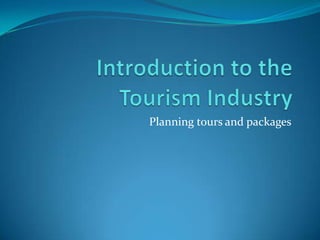 Introduction to the Tourism Industry Planning tours and packages 