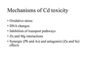 Mechanisms of Cd toxicity
• Oxidative stress
• DNA changes
• Inhibition of transport pathways
• Zn and Mg interactions
• Synergic (Pb and As) and antagonist (Zn and Se)
effects
 