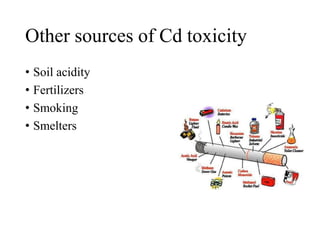 Other sources of Cd toxicity
• Soil acidity
• Fertilizers
• Smoking
• Smelters
 
