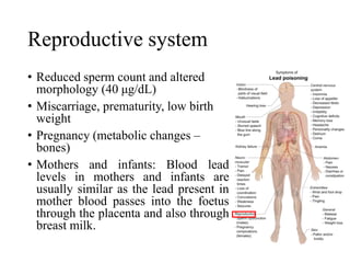 Reproductive system
• Reduced sperm count and altered
morphology (40 μg/dL)
• Miscarriage, prematurity, low birth
weight
• Pregnancy (metabolic changes –
bones)
• Mothers and infants: Blood lead
levels in mothers and infants are
usually similar as the lead present in
mother blood passes into the foetus
through the placenta and also through
breast milk.
 