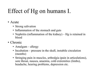 Effect of Hg on humans I.
• Acute
• Strong salivation
• Inflammation of the stomach and guts
• Nephritis (inflammation of the kidney) – Hg is retained in
blood
• Chronic
• Amalgam – allergy
• Incubation – pressure in the skull, instabile circulation
(months)
• Stringing pain in muscles, arthralgia (pain in articulations),
sore throat, nausea, anaemia, cold extremities (limbs),
headache, hearing problems, depression etc.
 