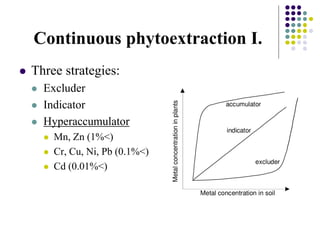 Continuous phytoextraction I.
 Three strategies:
 Excluder
 Indicator
 Hyperaccumulator
 Mn, Zn (1%<)
 Cr, Cu, Ni, Pb (0.1%<)
 Cd (0.01%<)
 