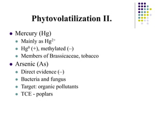 Phytovolatilization II.
 Mercury (Hg)
 Mainly as Hg2+
 Hg0 (+), methylated (–)
 Members of Brassicaceae, tobacco
 Arsenic (As)
 Direct evidence (–)
 Bacteria and fungus
 Target: organic pollutants
 TCE - poplars
 