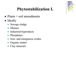 Phytostabilization I.
 Plants + soil amendments
 Ideally
 Sewage sludge
 Manure
 Industrial byproducts
 Phosphates
 Iron- and manganese oxides
 Organic matter
 Clay minerals
 