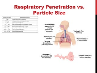 Respiratory Penetration vs.
Particle Size
 