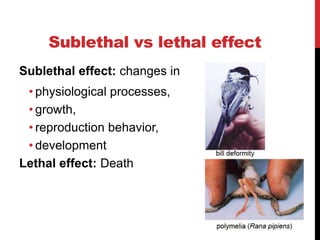 Sublethal vs lethal effect
Sublethal effect: changes in
• physiological processes,
• growth,
• reproduction behavior,
• development
Lethal effect: Death
 