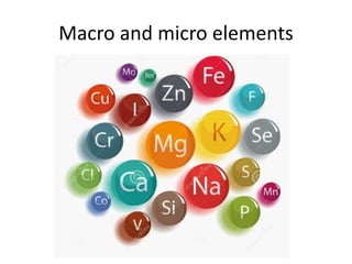 Macro and micro elements
 