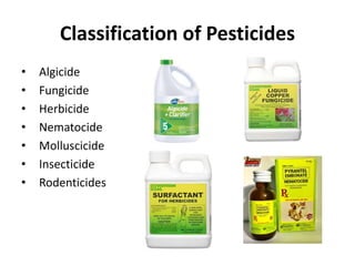 Classification of Pesticides
• Algicide
• Fungicide
• Herbicide
• Nematocide
• Molluscicide
• Insecticide
• Rodenticides
 