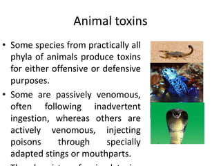 Animal toxins
• Some species from practically all
phyla of animals produce toxins
for either offensive or defensive
purposes.
• Some are passively venomous,
often following inadvertent
ingestion, whereas others are
actively venomous, injecting
poisons through specially
adapted stings or mouthparts.
 