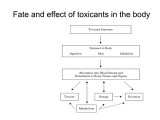 Fate and effect of toxicants in the body
 