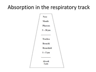 Absorption in the respiratory track
 