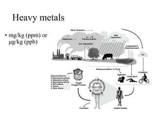 Heavy metals
• mg/kg (ppm) or
μg/kg (ppb)
 
