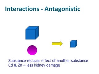 Interactions - Antagonistic Substance reduces effect of another substance Cd & Zn – less kidney damage  