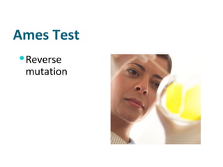 Ames Test Reverse mutation  