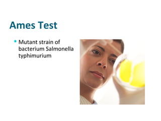 Ames Test Mutant strain of bacterium Salmonella typhimurium 