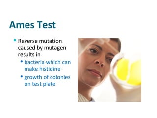 Ames Test Reverse mutation caused by mutagen results in  bacteria which can make histidine growth of colonies on test plate 